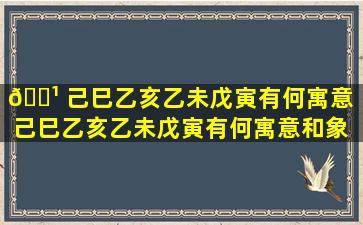 🌹 己巳乙亥乙未戊寅有何寓意（己巳乙亥乙未戊寅有何寓意和象 🦁 征）